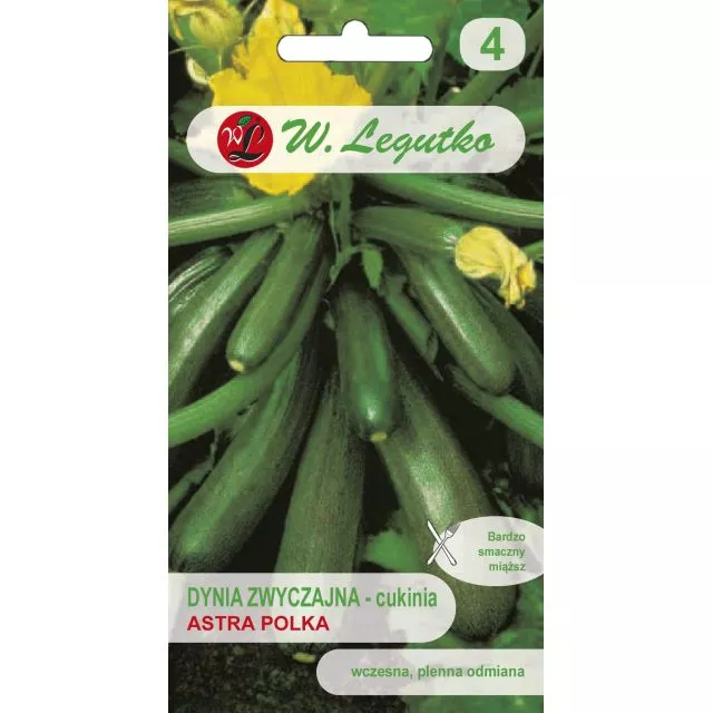 N-Dynia zwyczajna Astra Polka 2g+1g ST